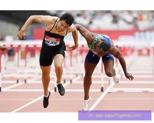 挑战极限!摔跤世界纪录揭秘 挑战极限!摔跤世界纪录揭秘