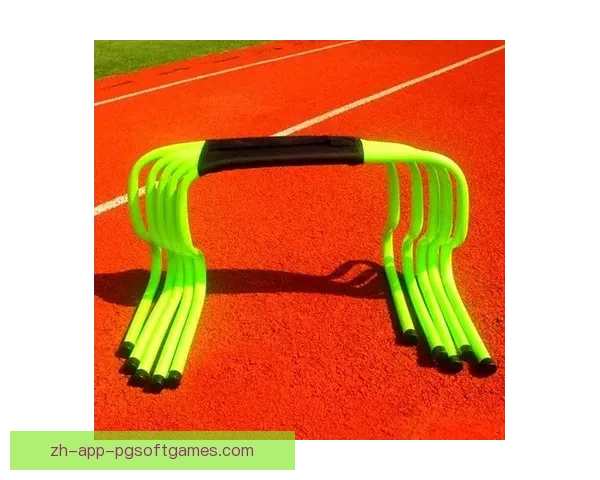 撑杆跳高：技巧与训练全面解析