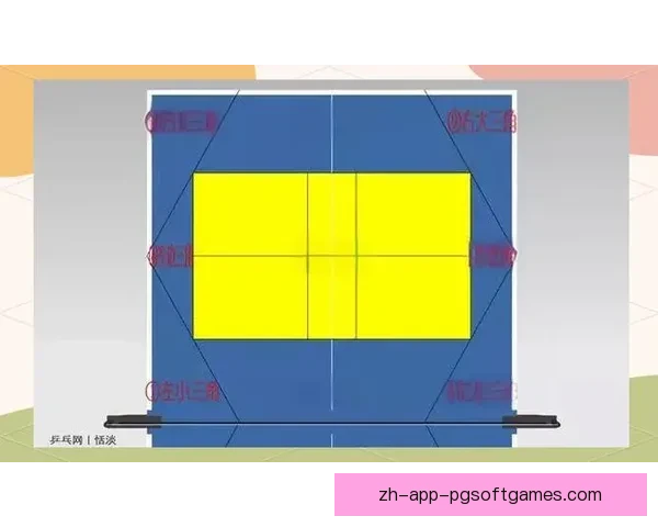 乒乓球比赛必知的规则技巧大揭秘