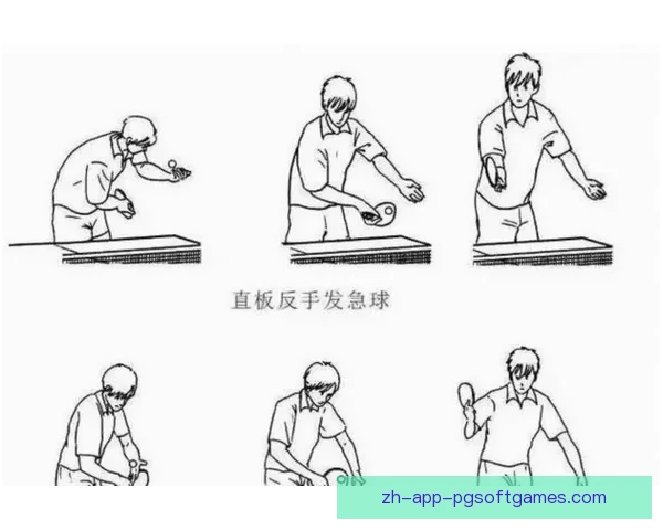 掌握乒乓球比赛中的技术窍门