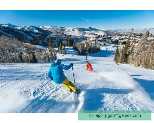 滑雪冠军:征战雪域 滑雪冠军:征战雪域