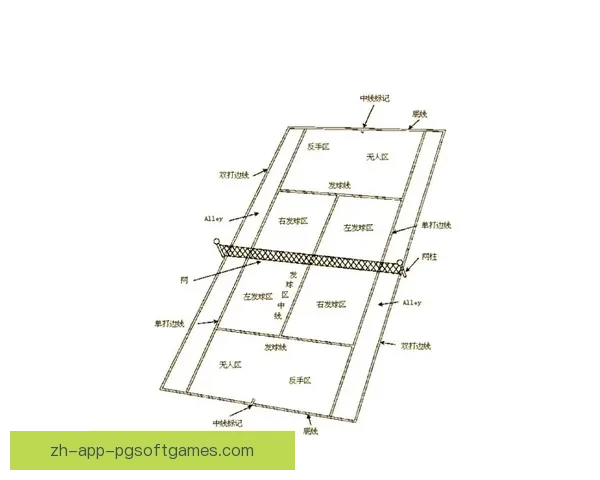 网球比赛中关键规则及技术要点 网球比赛中关键规则及技术要点