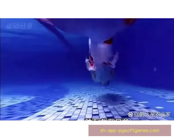 跳水训练技巧与注意事项分享