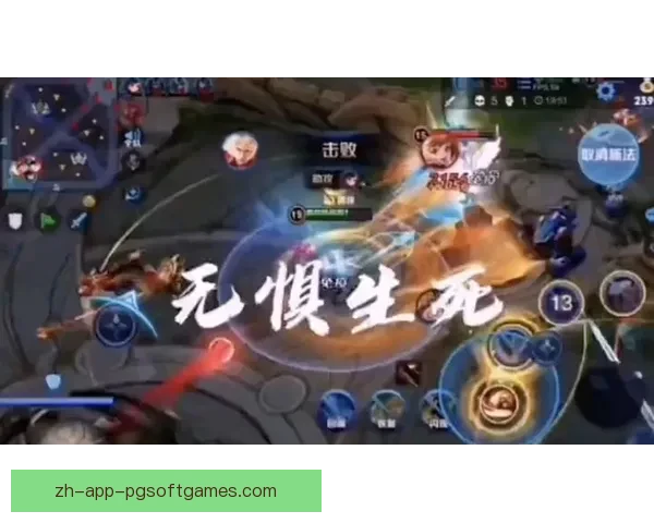 跆拳道杯赛：强者争锋，荣耀辉煌